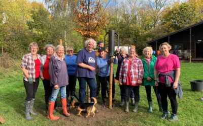 Queen’s Green Canopy 2022